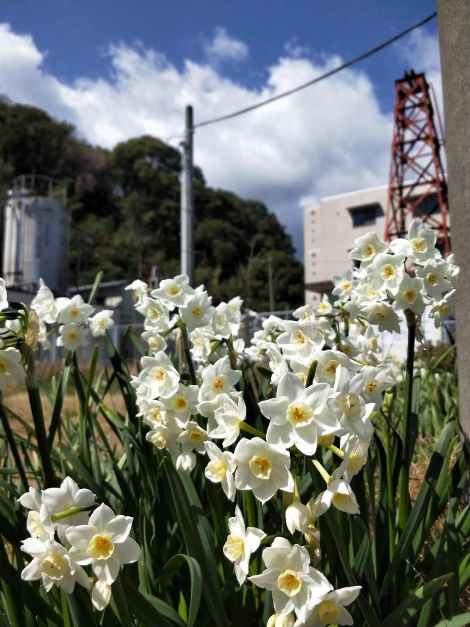 Izu Shirada Villa 伊豆白田家 Higashiizu Zewnętrze zdjęcie
